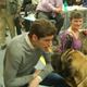 Illustration for article titled Calling Off The Dogs: Day 2 At Westminster